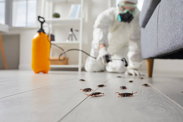 Commercial Kitchen Cockroach Control in Great Bend